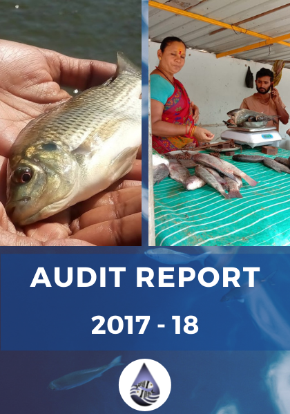 Audit Report 2017-18