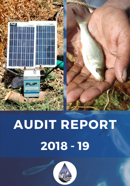 Audit Report 2018-19