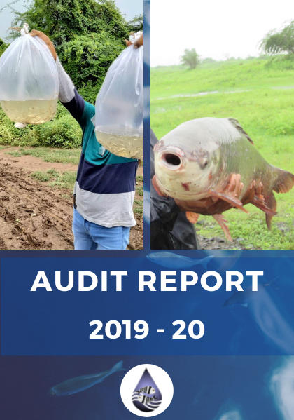 Audit Report 2019-20